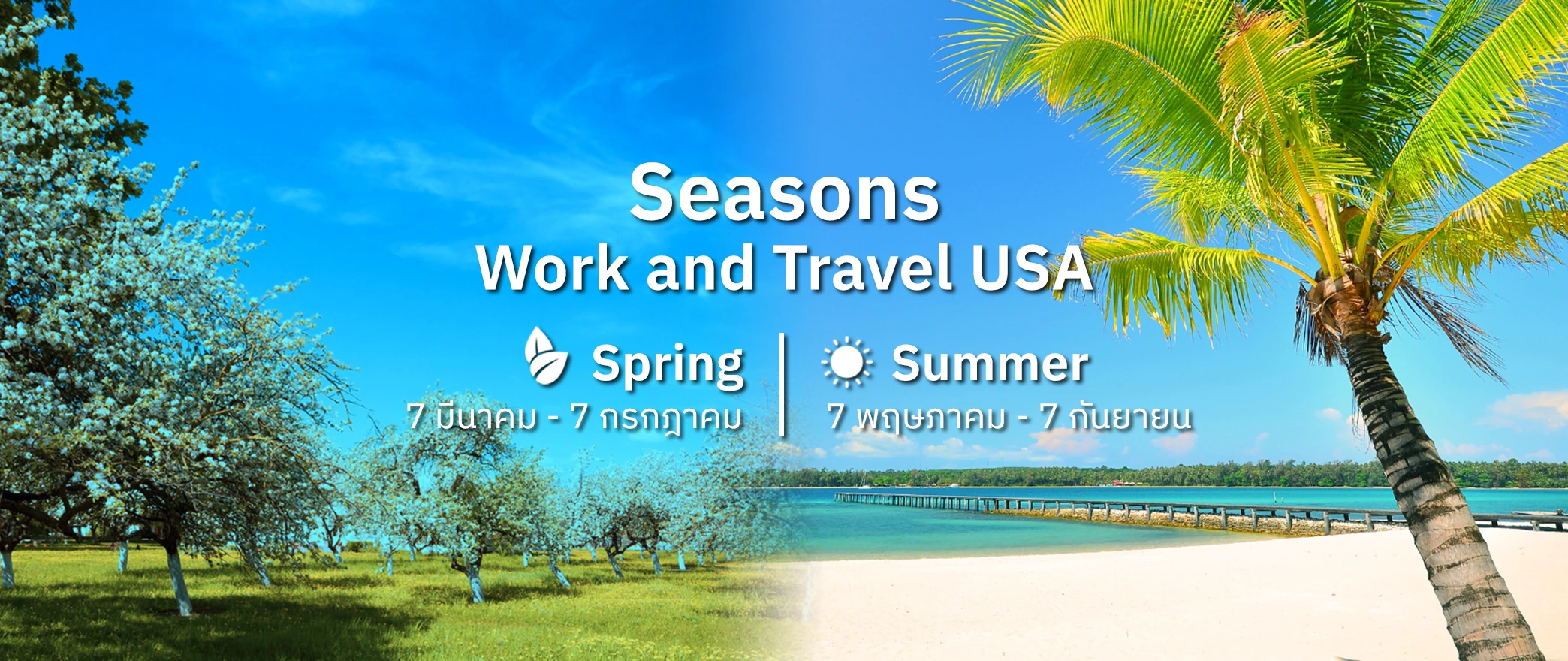 newstep new step season ช่วง spring summer work and travel อเมริกา ปิดเทอม มีนาคม เมษายน พฤษภาคม มิถุนายน ฝึกงานต่างประเทศ