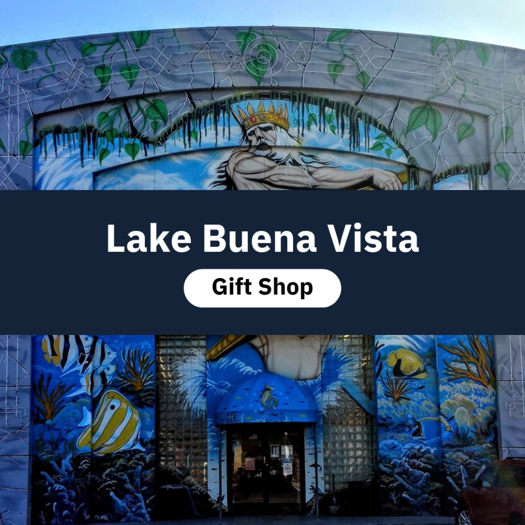 โลโก้ New Step Lake Buena Vista Gift Shop Work and Travel Orlando Florida