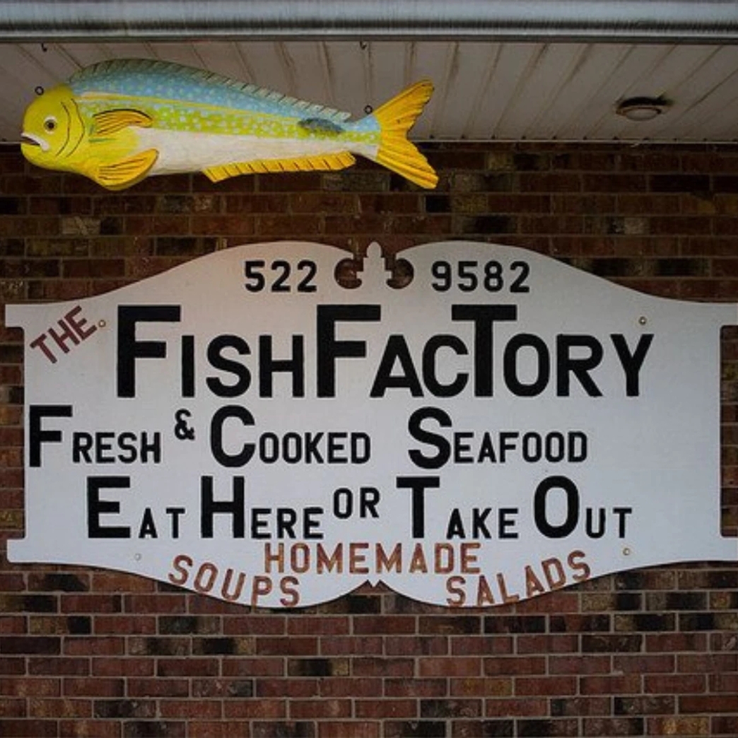 โลโก้ The Fish Factory newstep new step work and travel Wildwood, New Jersey