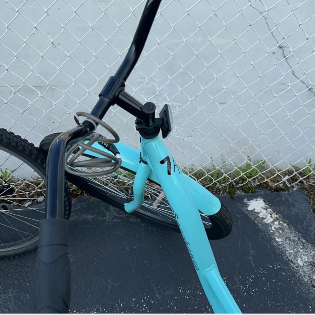 รีวิว review New Step The Island Work and Travel wat 2023 Ride Attendant Tennessee การเดินทาง จักรยานให้ยืม เช่า ปั่นจักรยานไม่เป็น รถประจำทาง เมือง ธรรมชาติ ภูเขา สวยมาก