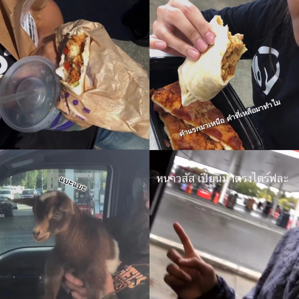 รีวิว W&T 2025 งาน Taco Bell รายได้ดี ชั่วโมงแน่น! อัปสกิลภาษาหน้างานจริงกับแบรนด์ระดับโลก ฝึกระบบงานมาตรฐานในอเมริกา สมัคร New Step พร้อมดูแลให้คำปรึกษาครบทุกขั้นตอน