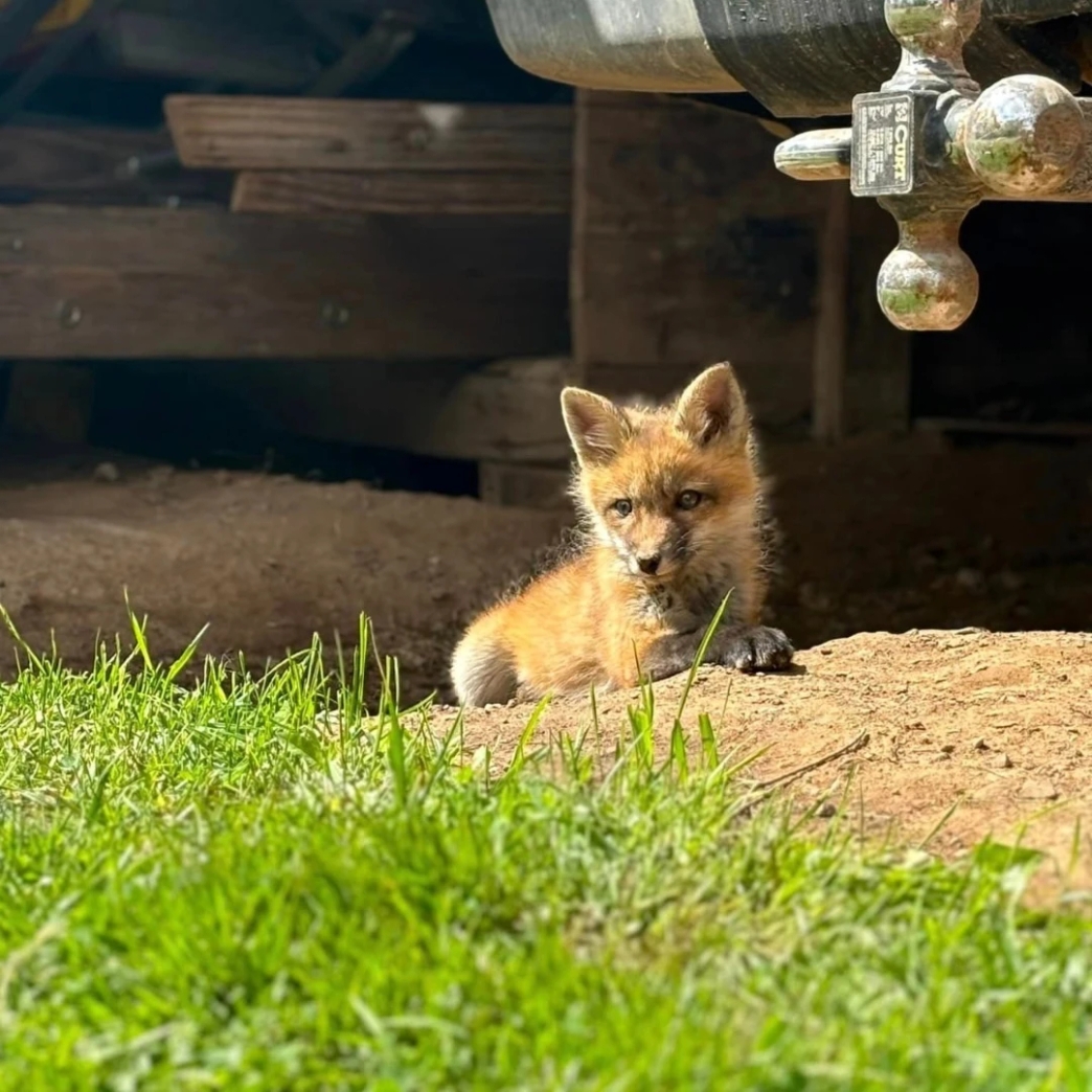 รีวิว review New Step Boyd's Mason Lake Resort Work and Travel wat 2024 Server Wisconsin อากาศ คล้ายเขาใหญ่ สวย หรู ปลอดภัย ใกล้ชิดธรรมชาติ