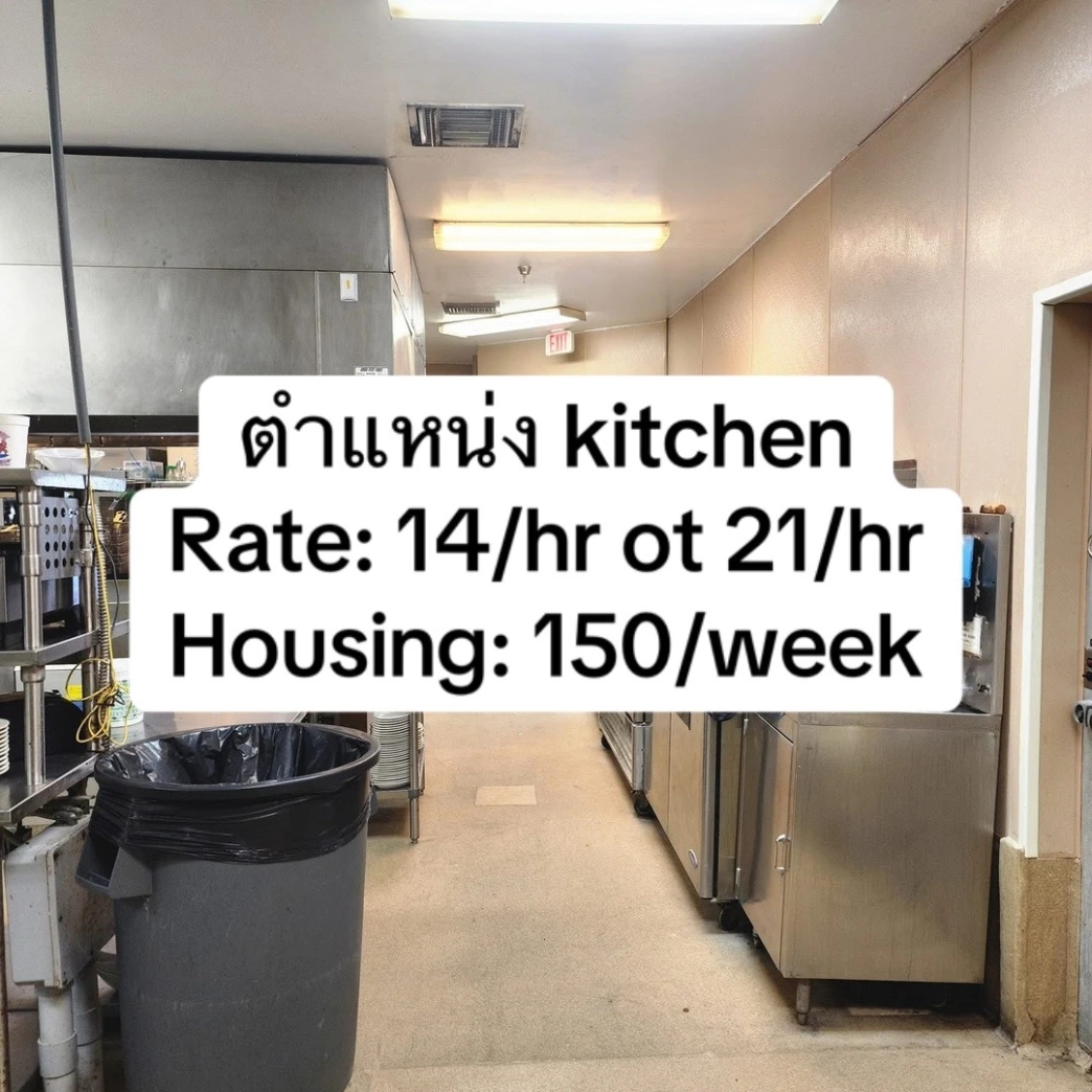 ตำแหน่งงาน Kitchen