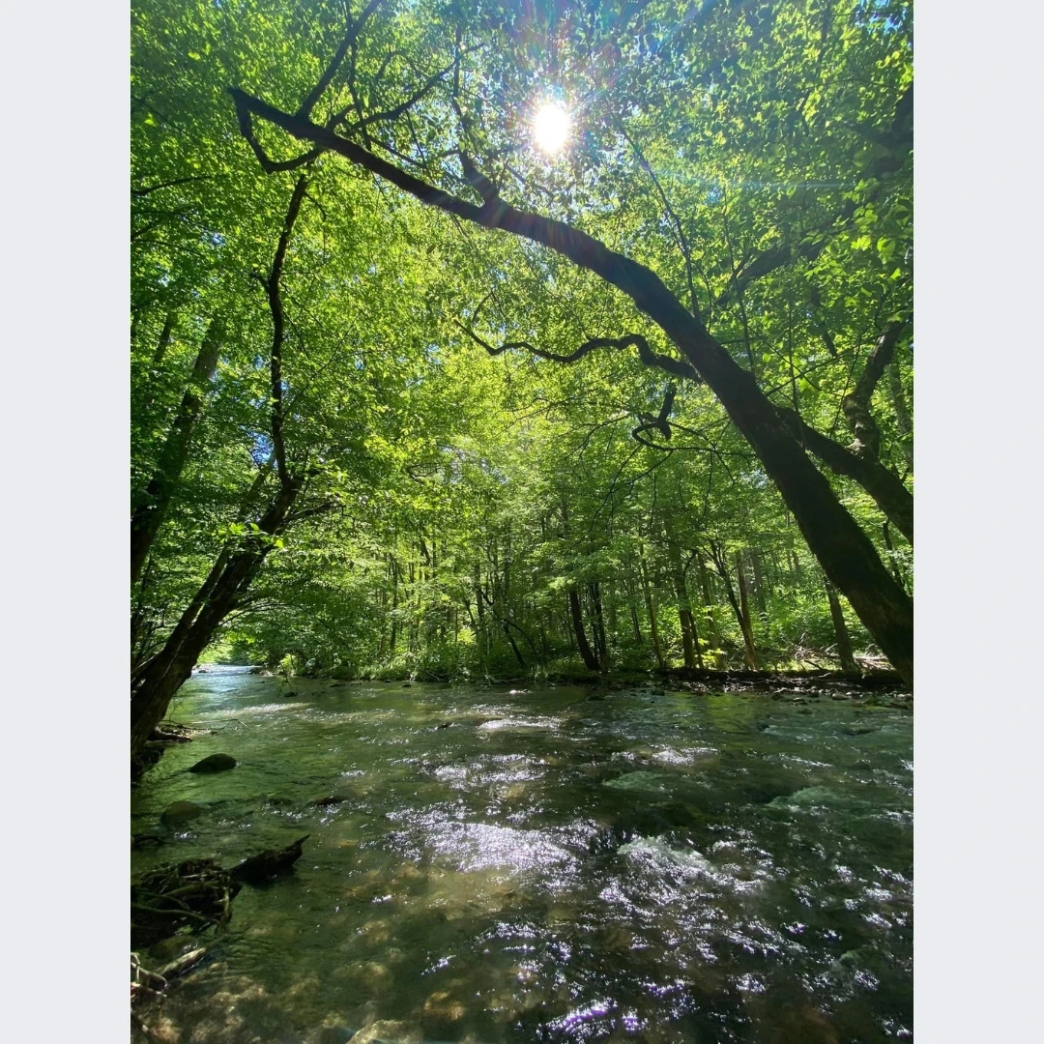 รีวิว review New Step Ober Work and Travel wat2022 park staff Tennessee Gatlinburg เมืองเล็ก ภูเขา ลำธาร กลางเมือง เมืองท่องเที่ยว ธรรมชาติ คนใจดี