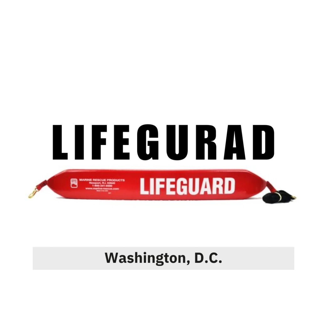 โลโก้ Lifeguard new step new step work and travel Washington, D.C., Maryland , Virginia