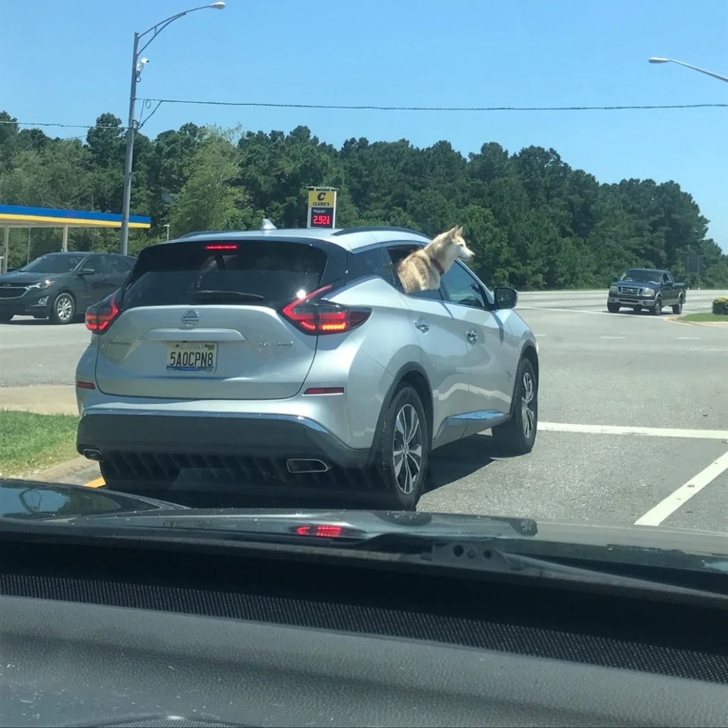 งานสอง ร้านไอศครีม สาขา การทำงาน รีวิว review New Step McDonald's Work and Travel Gulf Shores Alabama wat2024 Crew Member ทำงานต่างประเทศ แลกเปลี่ยนวัฒนธรรม ทำงานปิดเทอม ฝึกภาษา อังกฤษ