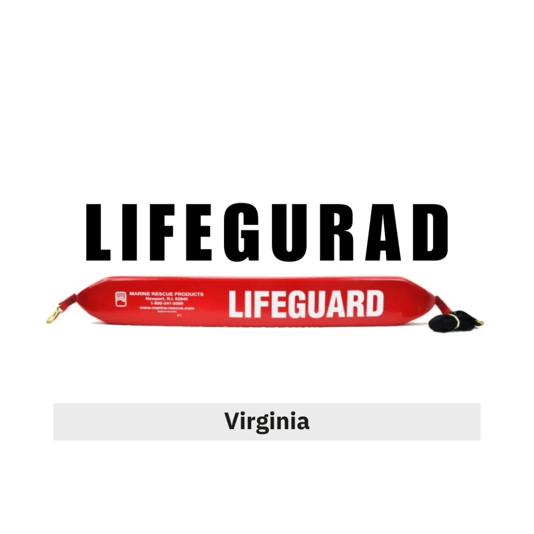 โลโก้ Lifeguard new step new step work and travel Washington, D.C., Maryland , Virginia