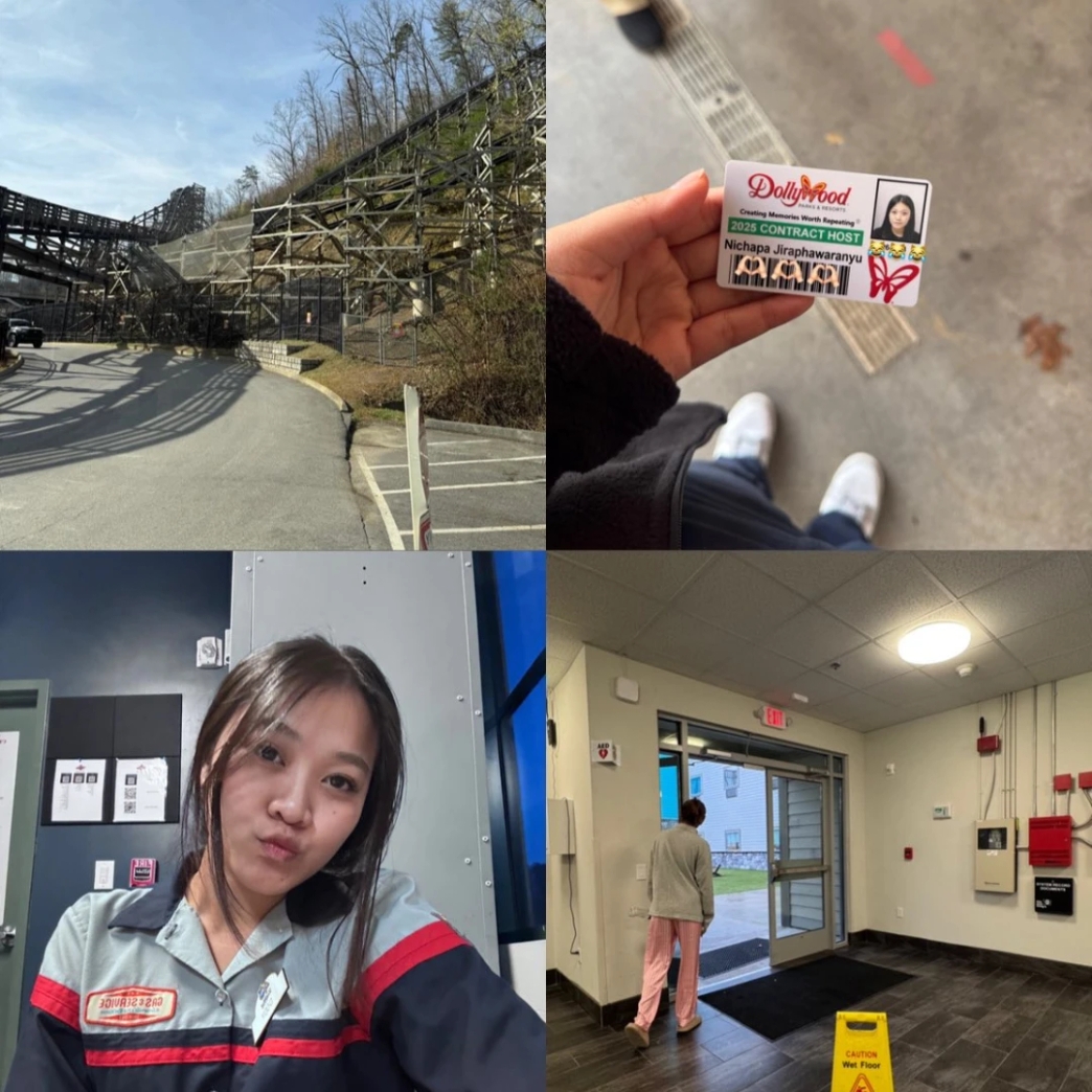 Attraction Team Dollywood Thame Park