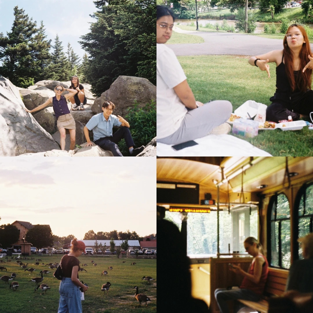 🏞️ Pigeon Forge, Tennessee