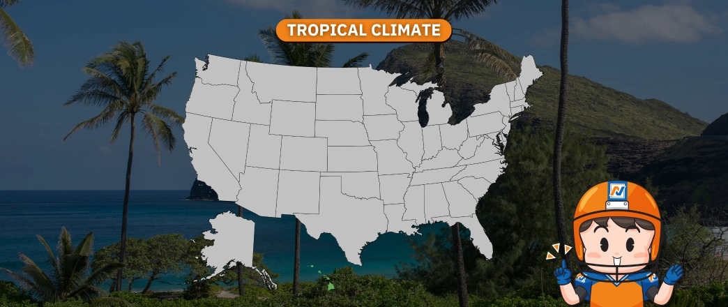 Tropical Climate (เขตร้อน)
