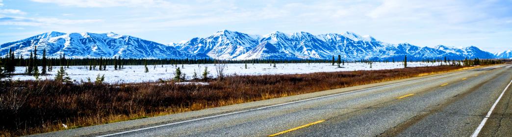 Denali Park เมือง Work and Travel รัฐ Alaska AK New Step newstep WAT ฝึกงาน ทำงาน ต่างประเทศ เที่ยว อเมริกา USA โครงการแลกเปลี่ยน วัฒนธรรม