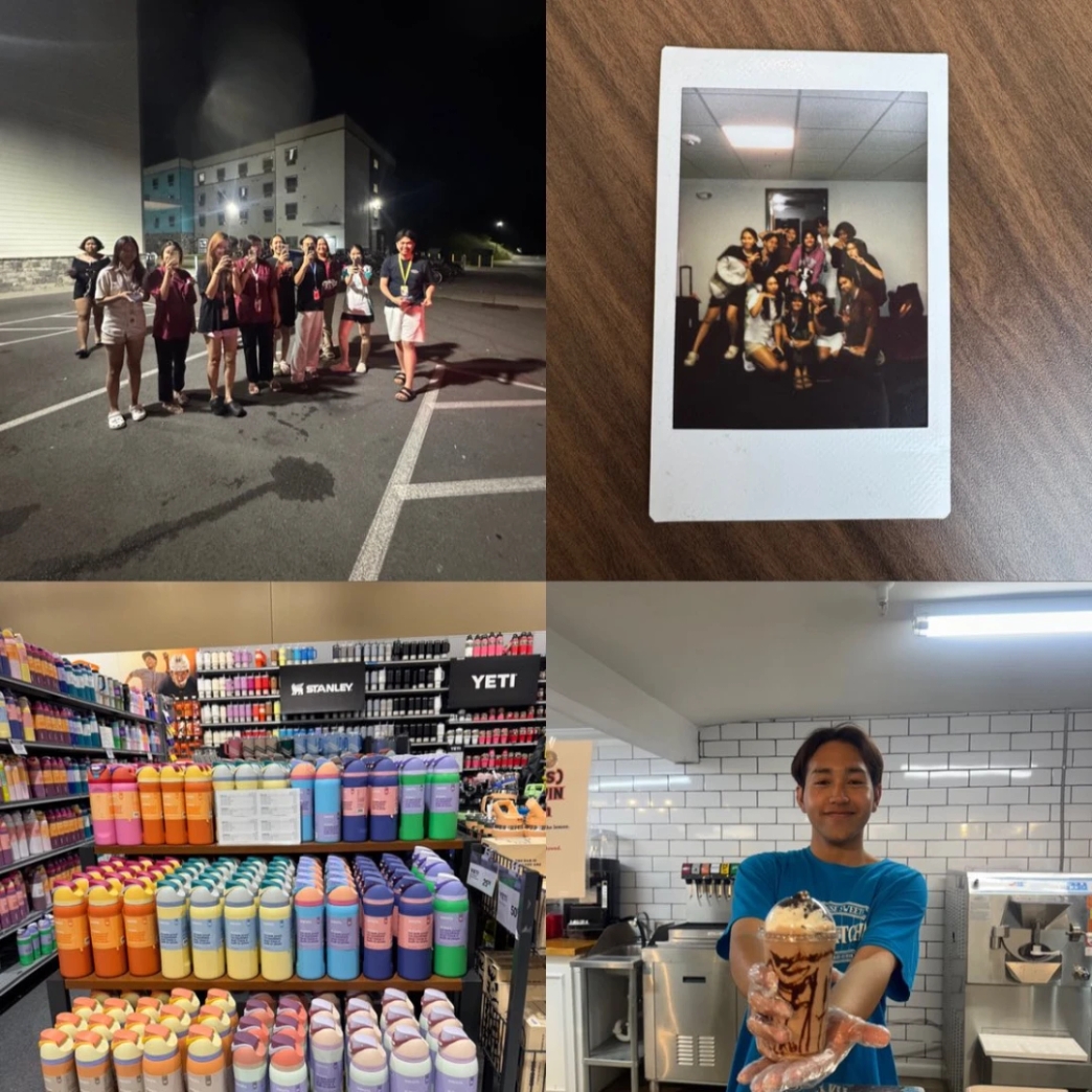 work and travel 2025 Dollywood, Pigeon Forge, TN New Step