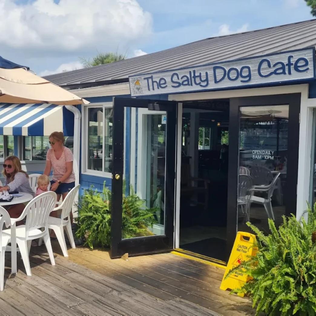Logo The Salty Dog Work and Travel USA เมือง Hilton Head รัฐ South Carolina