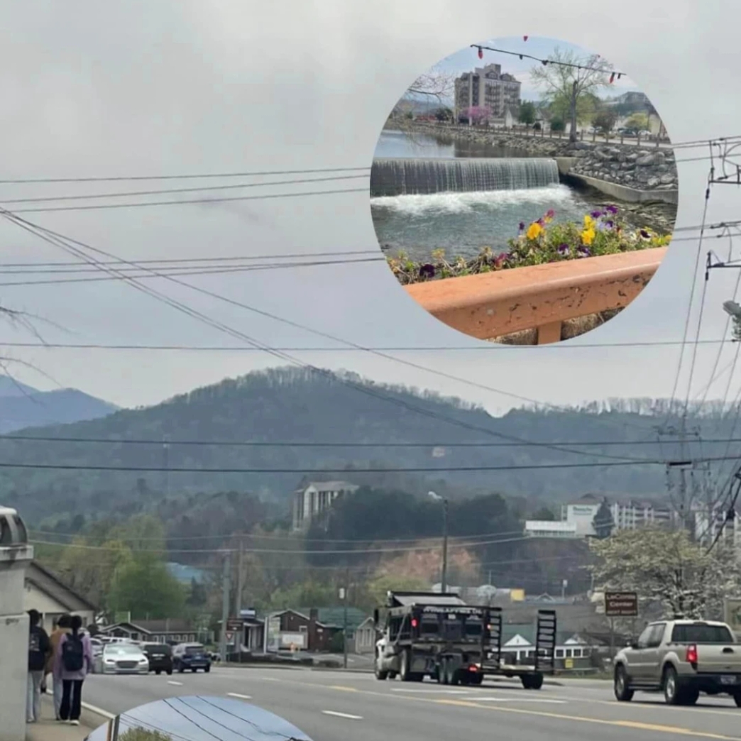 งานสอง งานเสริม second job taco bell  รีวิว review New Step Dollywood Work and Travel wat 2024 Culinary Food Team Tennessee